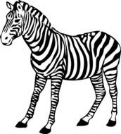 Black And White Zebra Clip Art N8