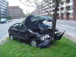 broken car near a tree