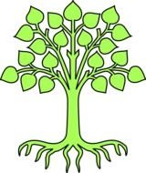 Blank Family Tree Clip Art N7