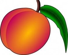 Coredump Clipart Peach