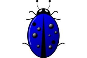 Cartoon Ladybug Clip Art drawing