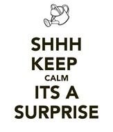 Shhh Its A Surprise