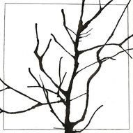 Tree Branches Drawing N2