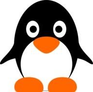 drawn sweet penguin