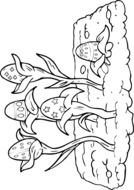 black and white picture of easter eggs on plants for coloring