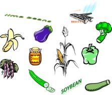 Crops Clip Art N10