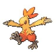 Pokemon Torchic Evolution Chart