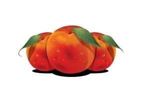 Clipart of Peaches