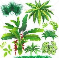 Tropical Plant Leaves N2
