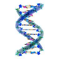 DNA Double Helix Art N3