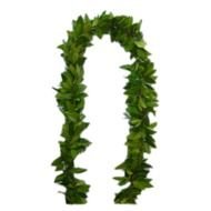 Hawaiian Maile Leis