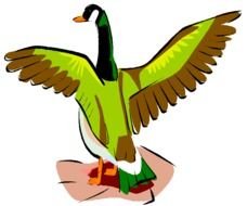 Mallard Duck Clip Art Free