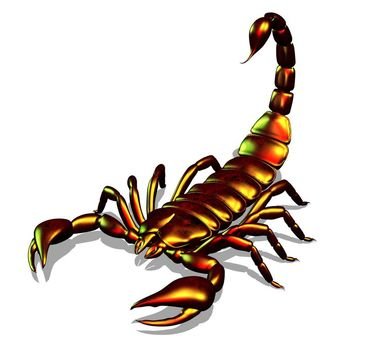 Scorpion as a picture for clipart