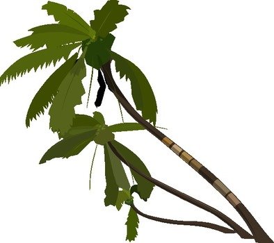 Vector Palm Tree Clip Art N3