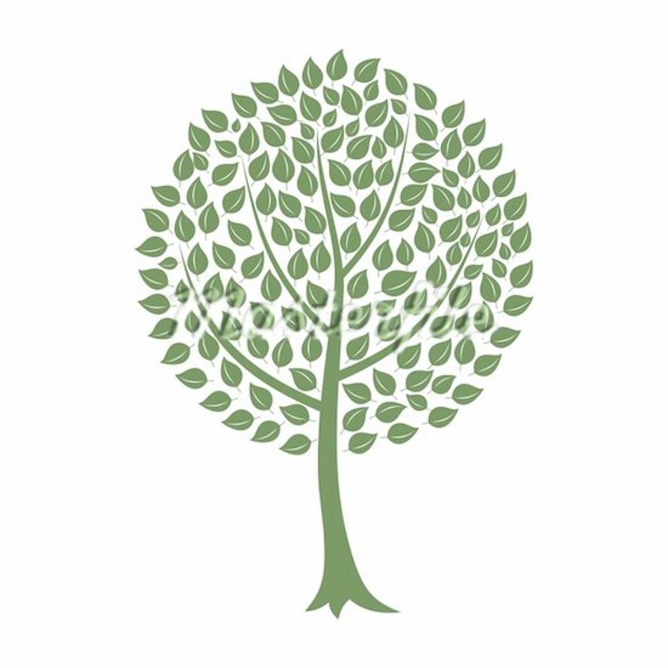 White Paper Birch Tree Cartoon