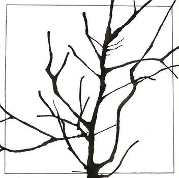 Tree Branches Drawing N2
