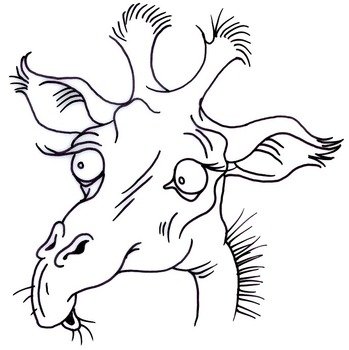 Texas Clip Art N9