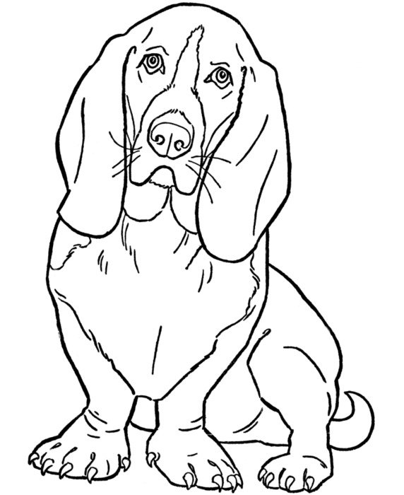 Hound Dog Coloring Pages