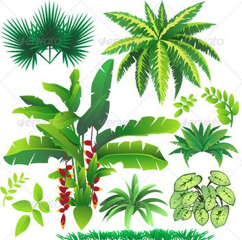 Tropical Plant Leaves N2