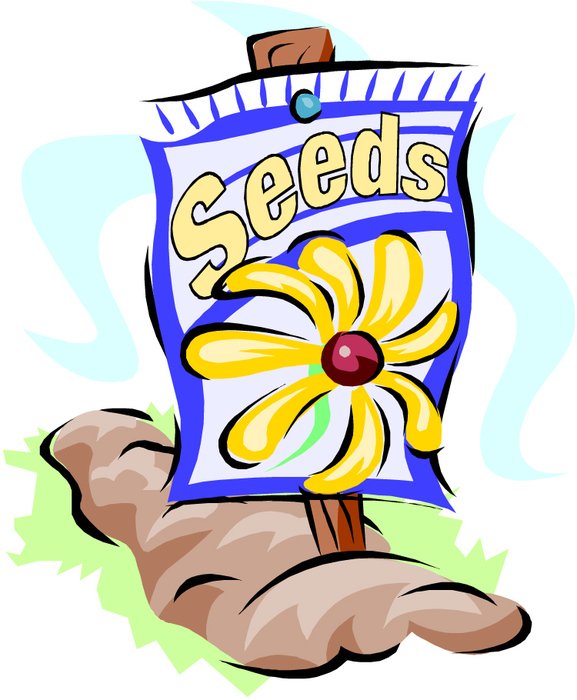 Seeds, poster on pole on garden bed, drawing