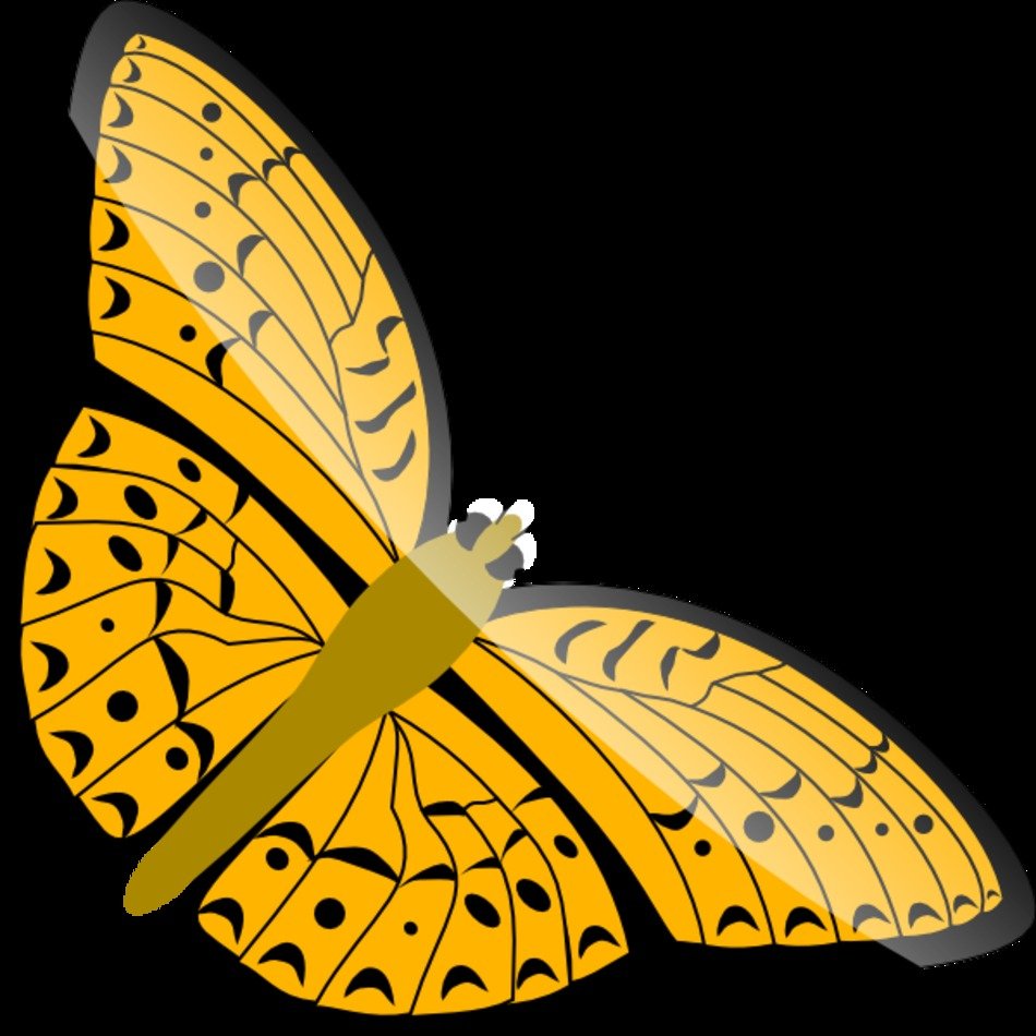 Butterfly Clip Art N113