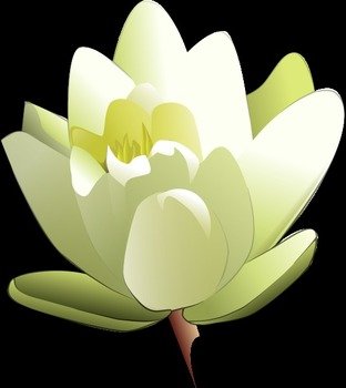 Water Lily Clip Art N15