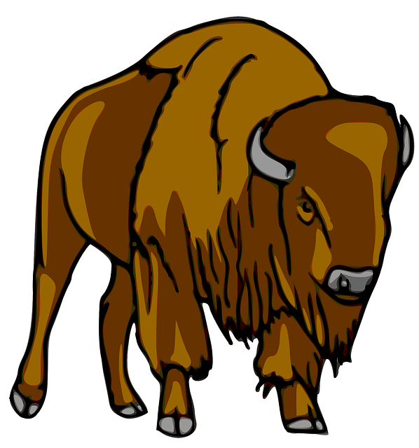 Bison Head Clip Art N2 free image download