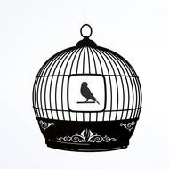 Bird Cage drawing