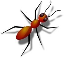 Ant Clip Art N19