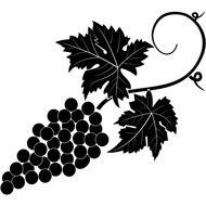 black drawn grape