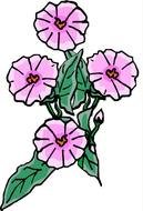 Purple pink Flower drawing