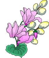 painted purple spring flower