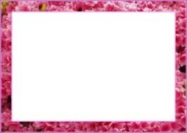 pink flower Borders drawing