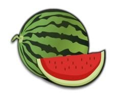 Watermelon Clip Art Free N14