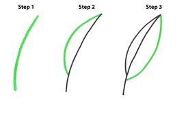 How To Draw Leaves Step By