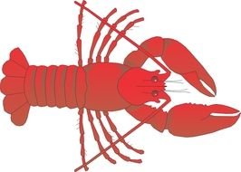 Cartoon Lobster N4