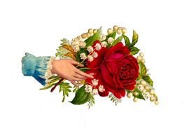 drawn bouquet with a red rose in hand