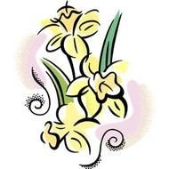 Daffodil Flower Clip Art N18