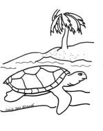 Sea Turtle Coloring Page drawing