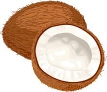 Coconut Clip Art N11