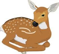 Deer Clip Art N48