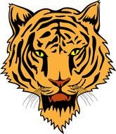 Tiger Head Clip Art drawing