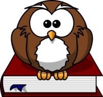 cartoon owl on the book