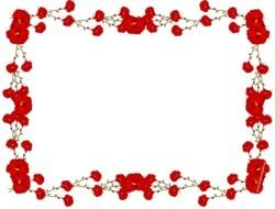 Red Rose Borders And Frames drawing