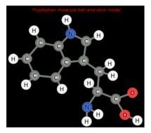 Hydrogen amp Carbon