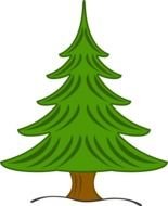 green pine as a picture for clipart