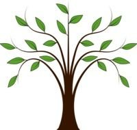 simple deciduous Tree, Clip Art