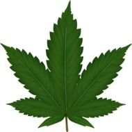 Weed Leaf Clip Art N4