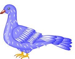 Blue Pigeon as a graphic illustration