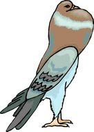 Pigeon Clip Art N9